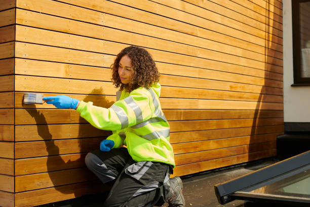 Affordable Siding Repair and Maintenance Services in Westmont, IL